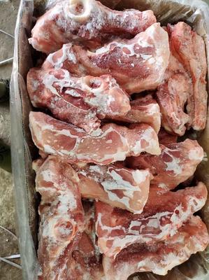 肥豬叉骨與尾叉骨的識別與分割 兼談豬羊產品的初步區分